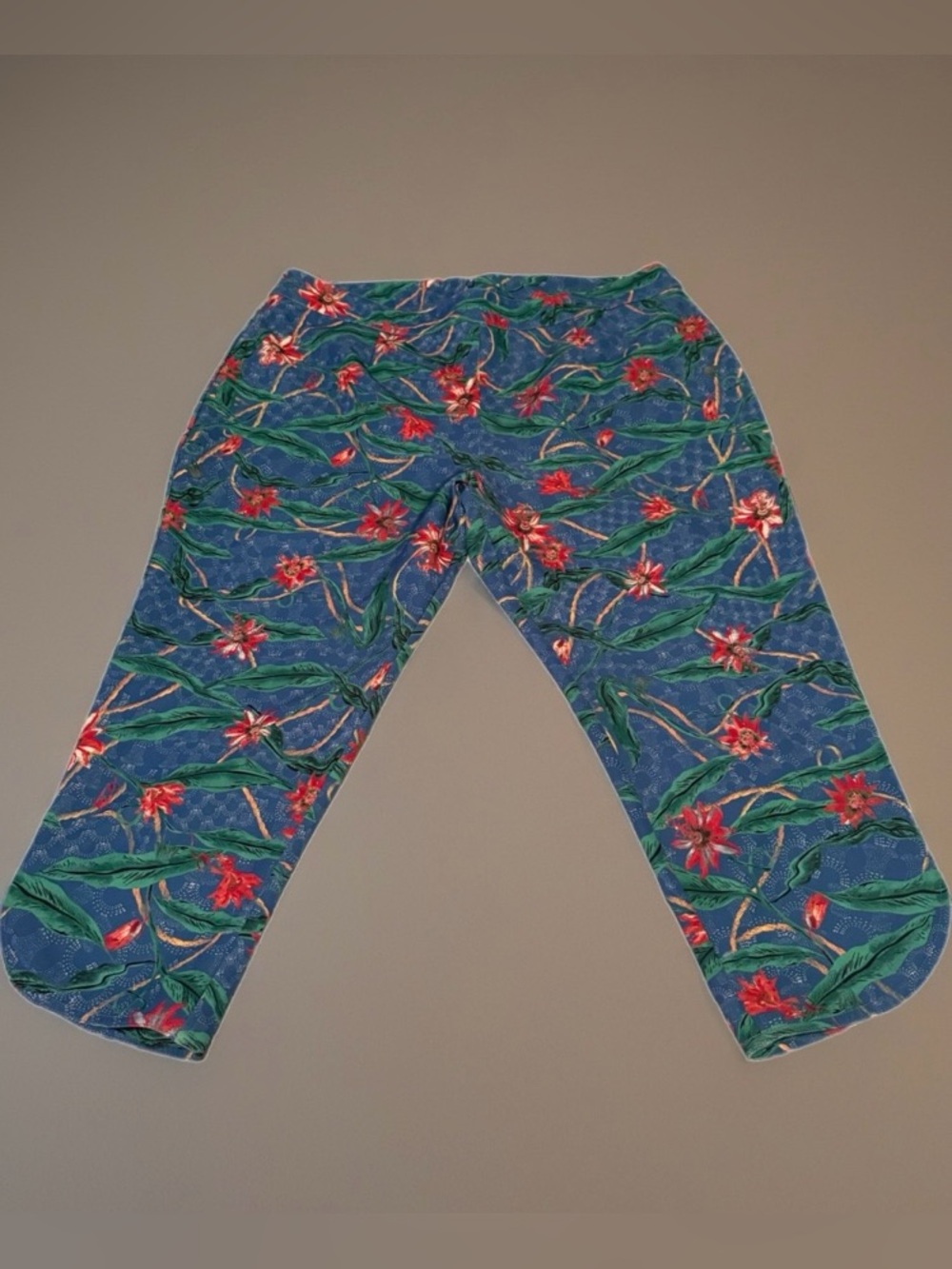 Blue Floral Shift Pants with Leaves and Red Flowers